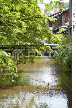 祇園　白川 2830653