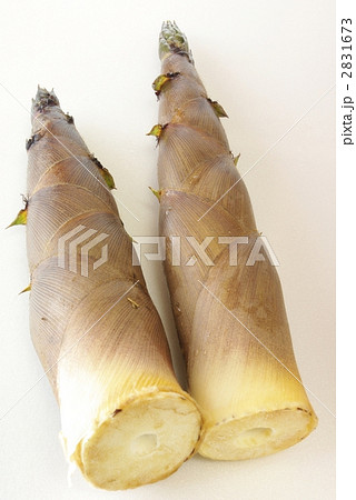 タケノコ 2831673