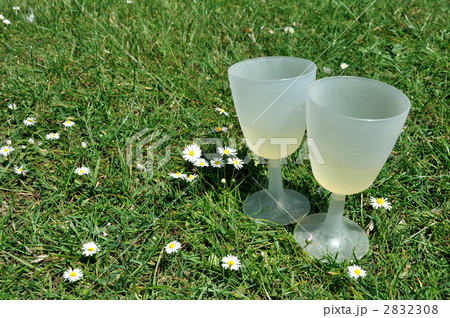 ピクニック ピクニック 2832308