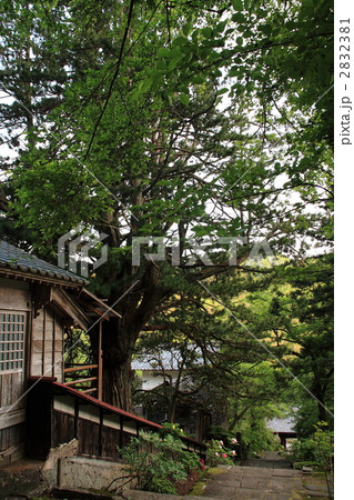 佐渡　長谷寺 2832381