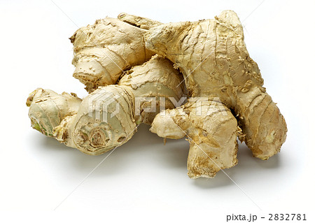 白ウコン 白ウコン 2832781