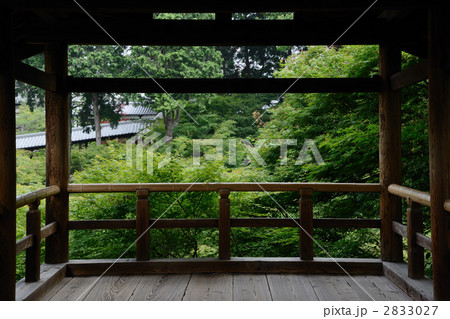 東福寺の通天台 2833027