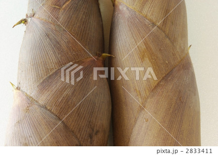 タケノコ 2833411