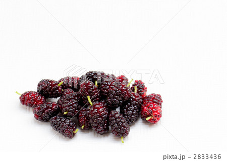 桑の実 2833436