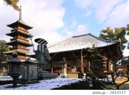 四国霊場第70番札所本山寺、雪の国宝本堂と五重塔 四国霊場第70番札所本山寺、雪の国宝本堂と五重塔 2833557