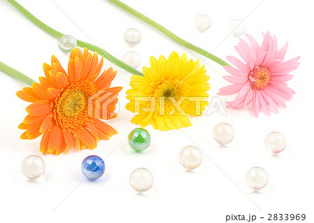ガーベラの花とガラス玉 2833969