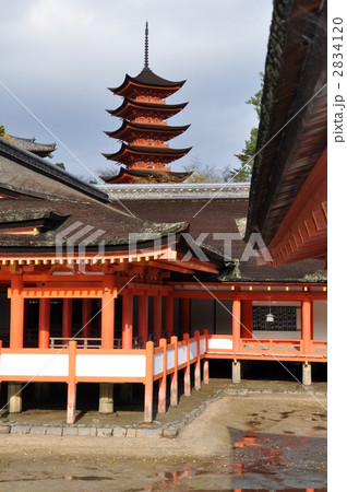 秋の厳島神社 秋の厳島神社 2834120