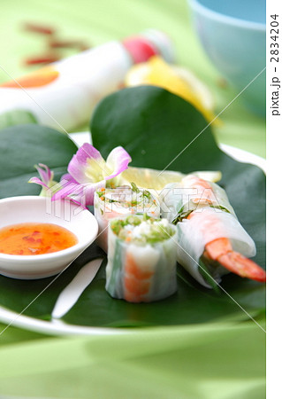 ベトナム風生春巻き ベトナム風生春巻き 2834204