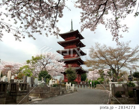 池上本門寺の五重塔 2834273