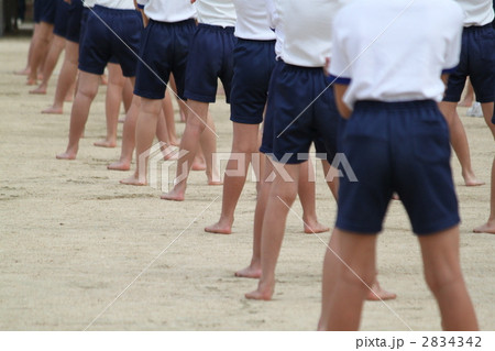 うんどうかい 2834342