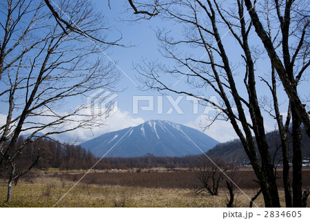 小田代が原 小田代が原 2834605