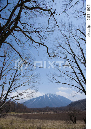 小田代が原 小田代が原 2834606