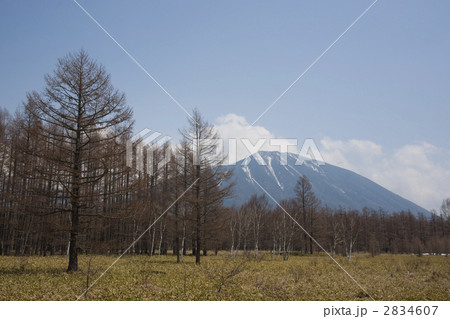 小田代が原 小田代が原 2834607