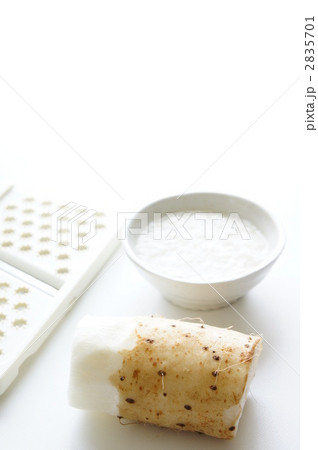 長芋 長芋 2835701