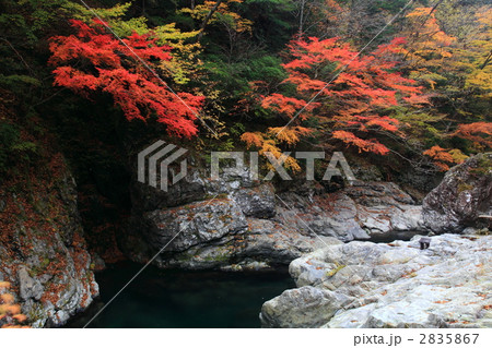 みたらい渓谷の紅葉 みたらい渓谷の紅葉 2835867