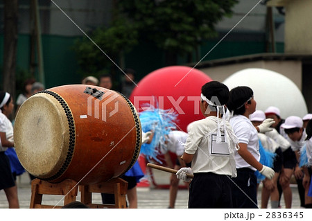 運動会　/　応援合戦 2836345