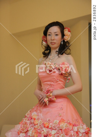 新婦 2836892