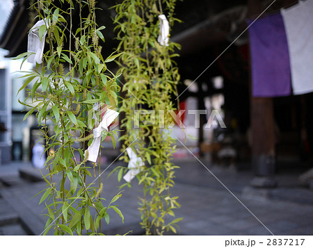 京都 紫雲山 頂法寺 六角堂 2837217