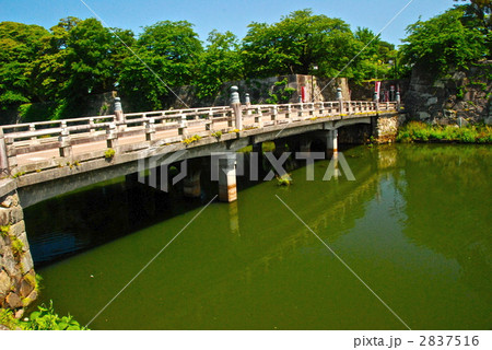 彦根城の表門橋(滋賀県彦根市金亀町) 彦根城の表門橋(滋賀県彦根市金亀町) 2837516