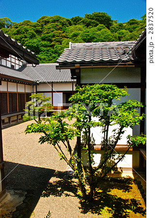 武家屋敷(彦根城博物館/滋賀県彦根市金亀町) 武家屋敷(彦根城博物館/滋賀県彦根市金亀町) 2837520