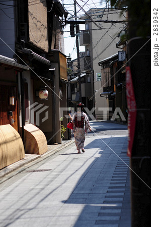 祇園宮川町を急ぐ芸妓 2839342