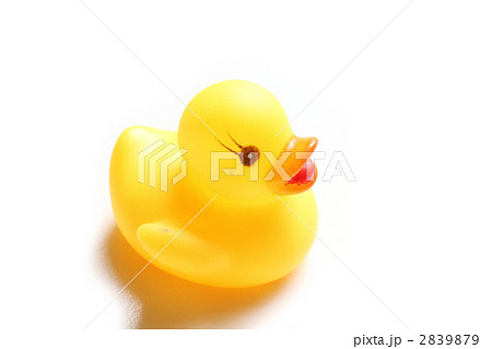 アヒルのバストイ 2839879