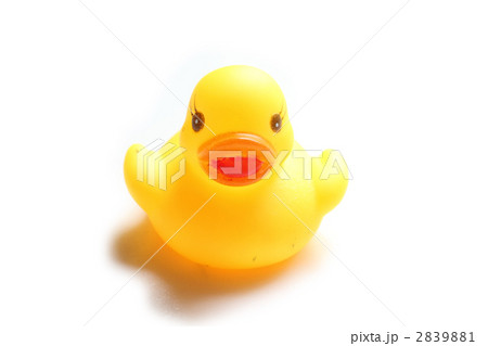 アヒルのバストイ アヒルのバストイ 2839881