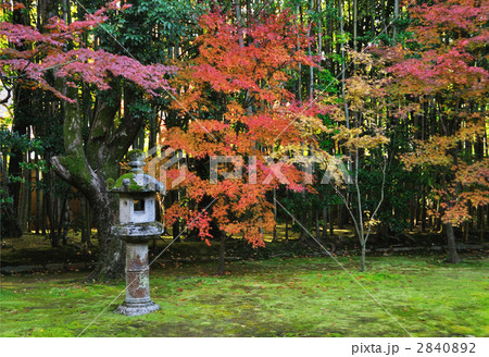 紅葉の庭 2840892