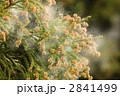 2841499