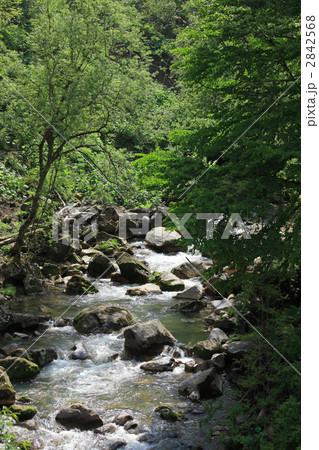 河川上流 2842568