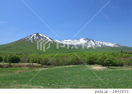 八甲田と草原 2842653