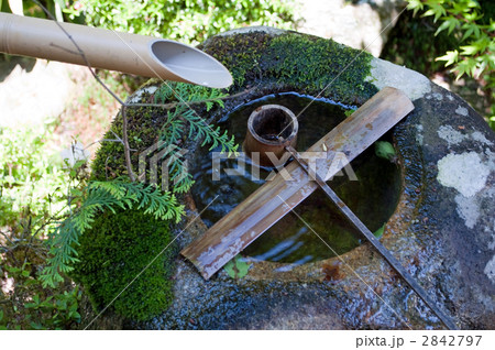 大池寺 蓬莱庭園 観賞式枯山水庭園 小堀遠州 大池寺 蓬莱庭園 観賞式枯山水庭園 小堀遠州 2842797