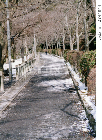 哲学の道01 哲学の道01 2844844