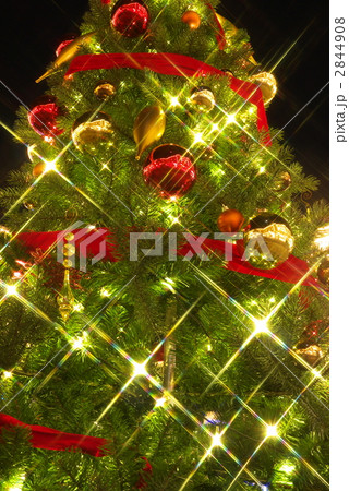 ラグーナ蒲郡のウインターイルミネーション 2844908