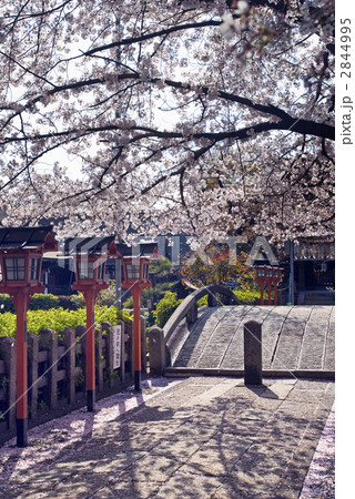 清和源氏発祥の宮　六孫王神社 2844995