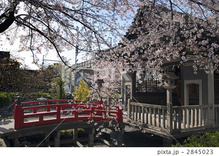 六孫王神社 誕生水弁財天社 六孫王神社 誕生水弁財天社 2845023