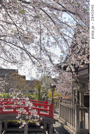 六孫王神社 誕生水弁財天社 六孫王神社 誕生水弁財天社 2845040