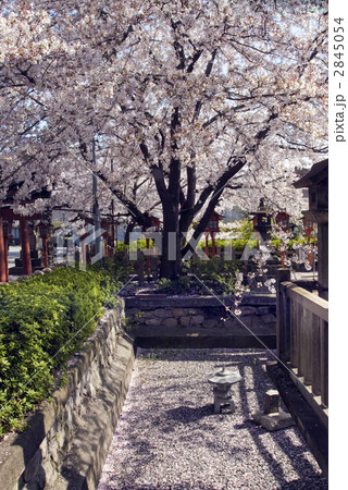 六孫王神社 誕生水弁財天社 六孫王神社 誕生水弁財天社 2845054