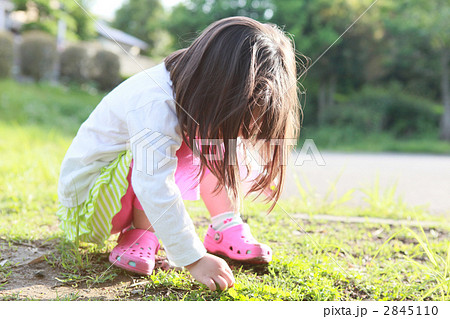 草をむしる3才の女の子 2845110