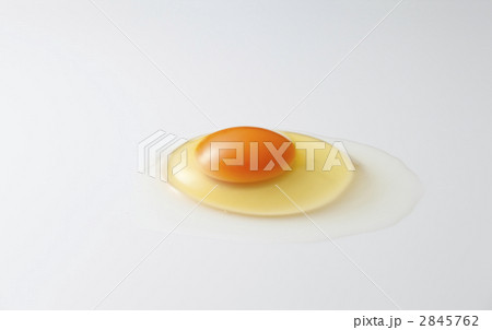 卵、たまご、タマゴ 2845762