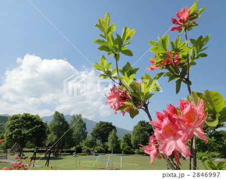 鳩吹公園 2846997