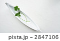 白い船に四つ葉が２本 2847106