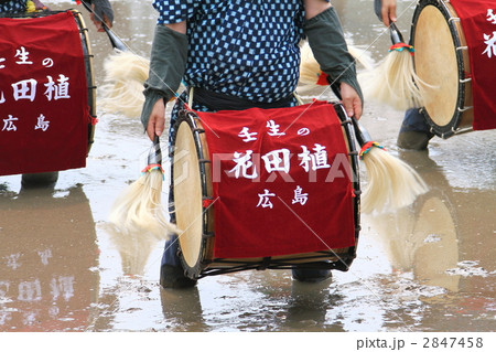壬生の花田植 壬生の花田植 2847458