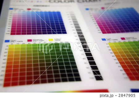 カラーチャート 2847905