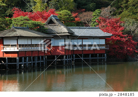 京都　長岡天神　八条が池の秋 2848185