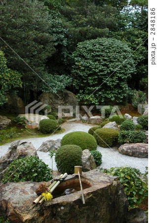 京都　退蔵院の秋の庭 2848186
