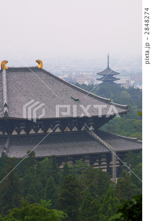 大仏殿と五重塔 2848274