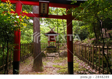 白竜神社 2848289
