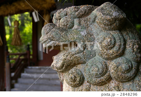 狛犬 狛犬 2848296