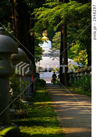 久安寺 参道 久安寺 参道 2848297